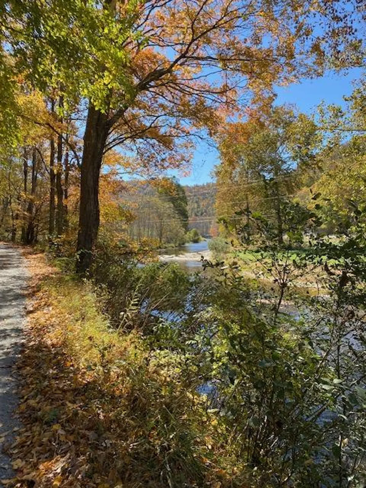 A tranquil riverside path meanders alongside the Watauga River, bordered by vibrant autumn foliage and mature trees. The walking path is ideal for strolls with dogs, and the natural surroundings create a peaceful, inviting atmosphere perfect for outdoor exploration.