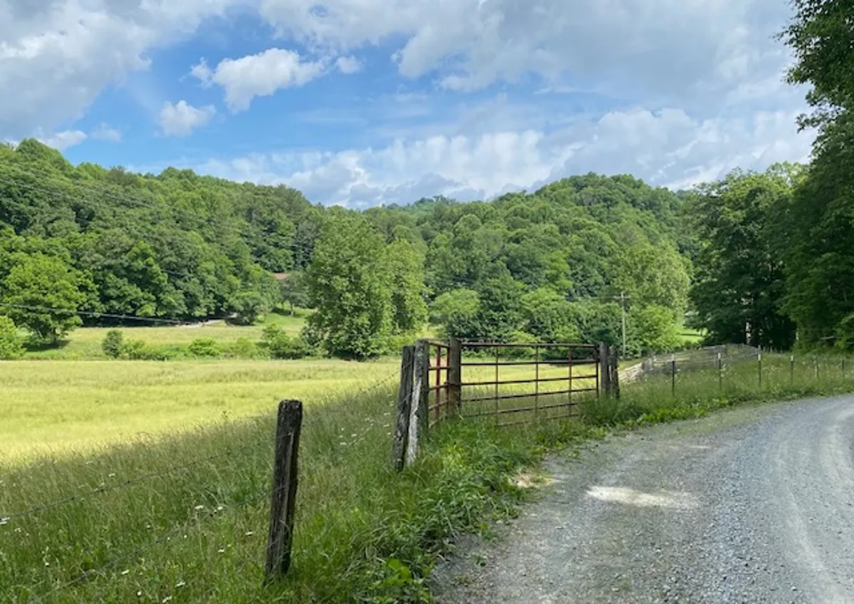 A gravel road with an open gate leads through wide green fields toward distant rolling hills, creating a sense of open space and freedom. The landscape is inviting for both people and pets, ideal for exploring and playing in nature.