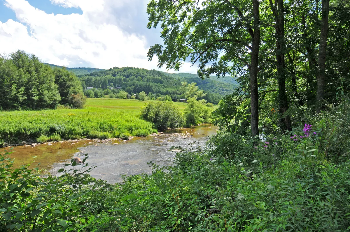 A peaceful river winds through wildflowers, with trees and mountains creating a picturesque backdrop. The scene is tranquil and inviting, ideal for hiking, picnicking, and wildlife spotting.